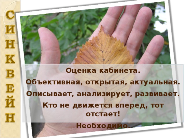 Оценка кабинета. Объективная, открытая, актуальная. Описывает, анализирует, развивает. Кто не движется вперед, тот отстает! Необходимо. 