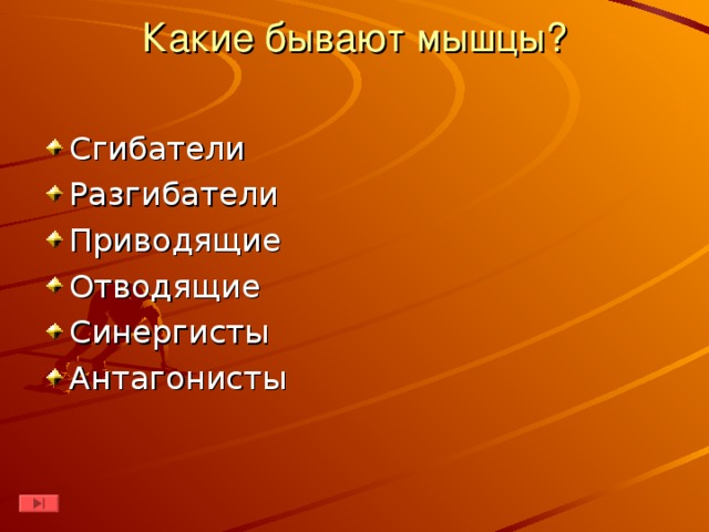 Какие бывают мышцы?   Сгибатели Разгибатели Приводящие Отводящие Синергисты Антагонисты 