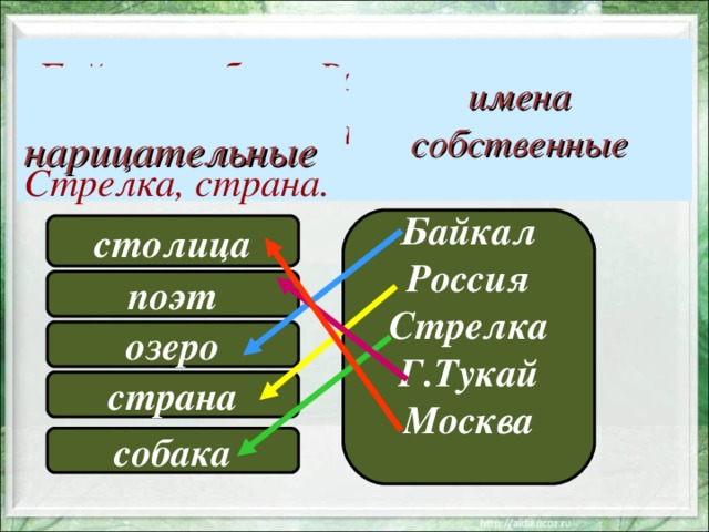  Байкал, собака, Россия, столица, поэт, озеро, Г.Тукай, Москва, Стрелка, страна. имена собственные  нарицательные Байкал Россия Стрелка Г.Тукай Москва  столица поэт озеро страна собака 