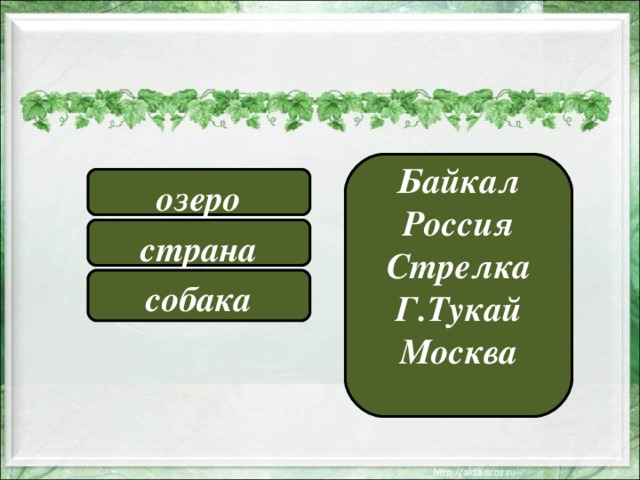 Байкал Россия Стрелка Г.Тукай Москва  озеро страна собака 