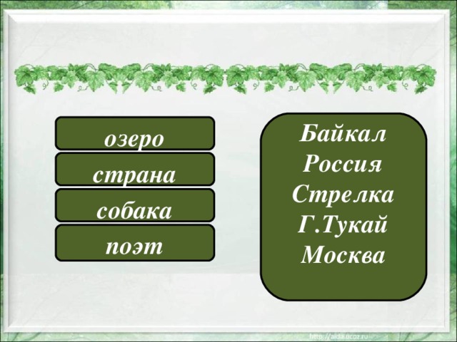 Байкал Россия Стрелка Г.Тукай Москва  озеро страна собака поэт 