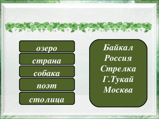 Байкал Россия Стрелка Г.Тукай Москва  озеро страна собака поэт столица 