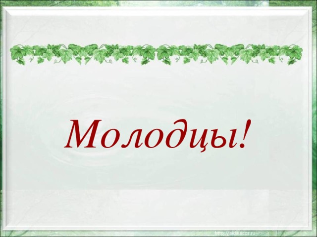 Молодцы! 