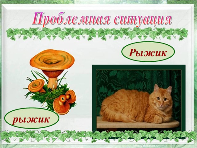 Рыжик рыжик 