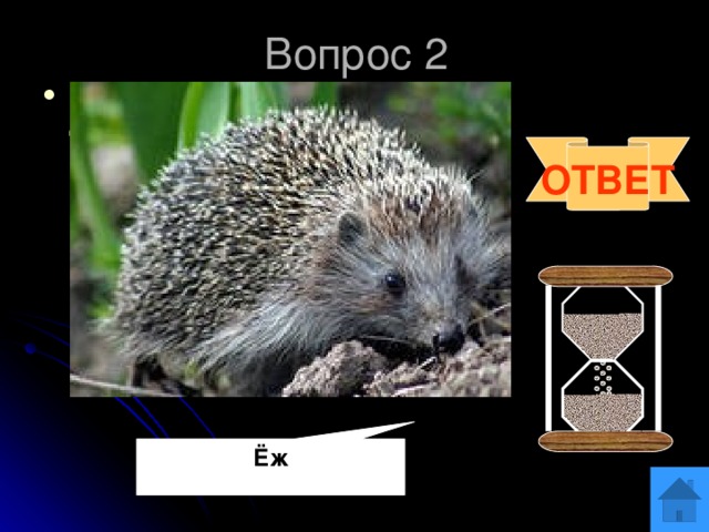 Вопрос 2 Этому животному не страшны укусы даже ядовитых змей - в организме имеется специальное змеиное противоядие. У него 36 зубов. ОТВЕТ Ёж 