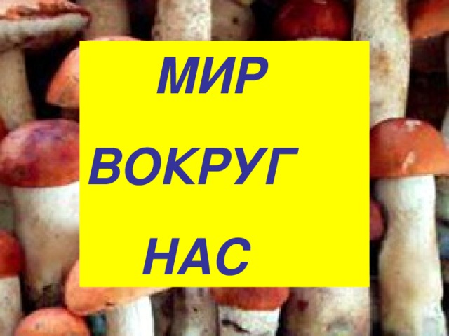  МИР ВОКРУГ  НАС 