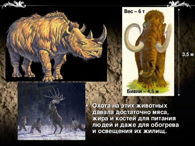 Вес – 6 т 3,5 м Бивни – 4,5 м Охота на этих животных давала достаточно мяса, жира и костей для питания людей и даже для обогрева и освещения их жилищ. 