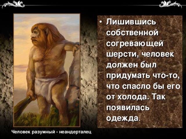 Лишившись собственной согревающей шерсти, человек должен был придумать что-то, что спасло бы его от холода. Так появилась одежда Человек разумный - неандерталец 
