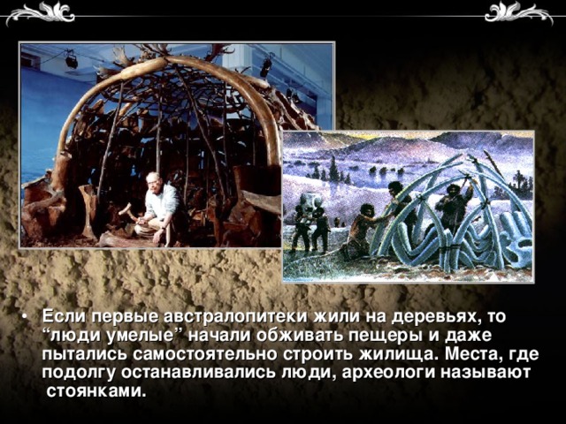 Если первые австралопитеки жили на деревьях, то “люди умелые” начали обживать пещеры и даже пытались самостоятельно строить жилища. Места, где подолгу останавливались люди, археологи называют стоянками.  