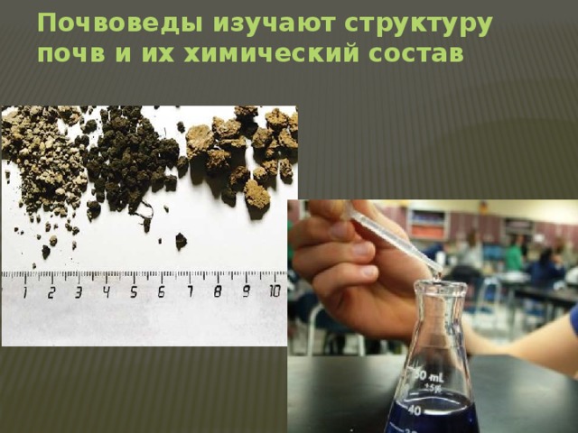 Почвоведы изучают структуру почв и их химический состав 