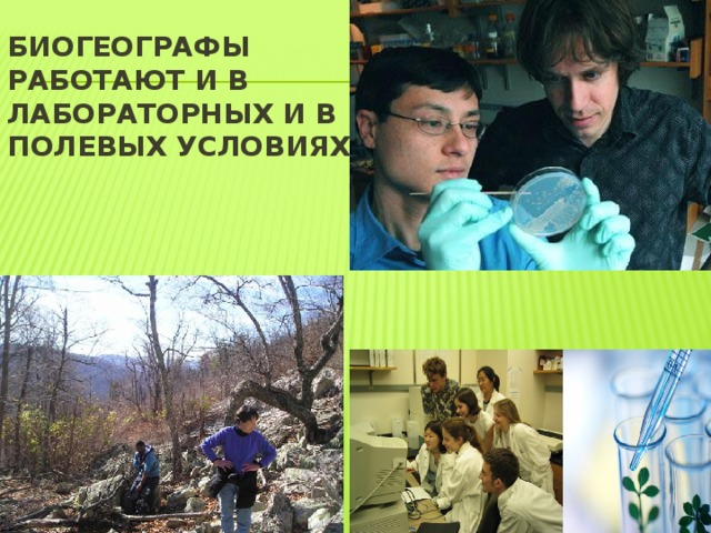 Биогеографы работают и в лабораторных и в полевых условиях 
