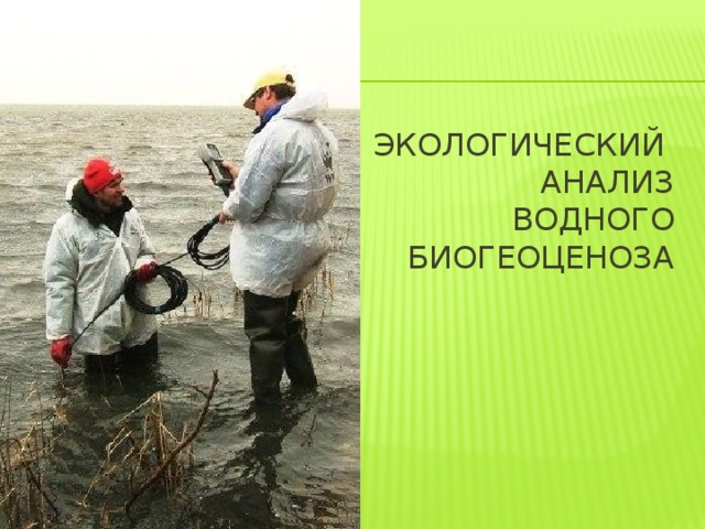 Экологический  анализ водного  биогеоценоза   
