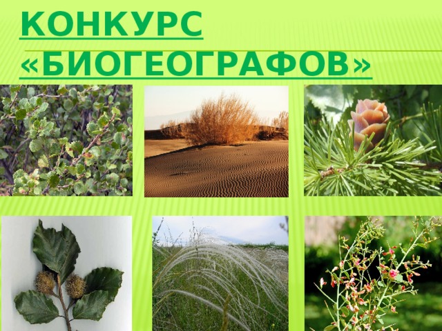 Конкурс «Биогеографов» 