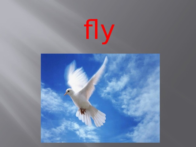 fly 
