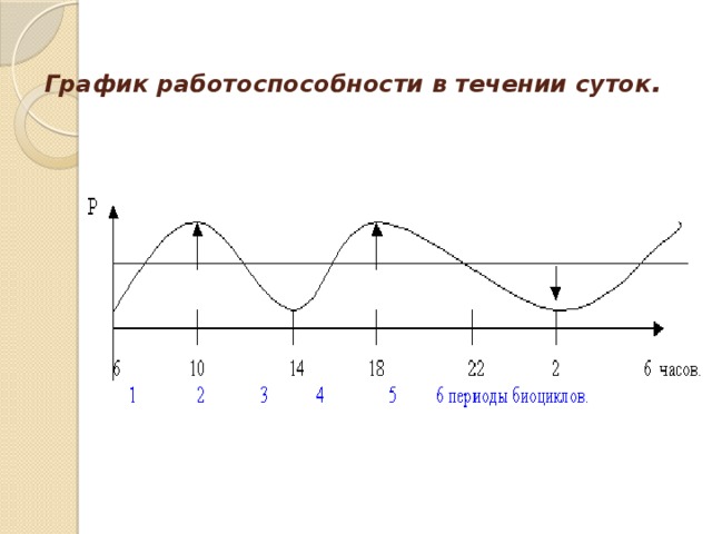 Делать в течении суток. График работоспособности человека в течении суток. Фазы работоспособности график. Динамика работоспособности в течение суток.