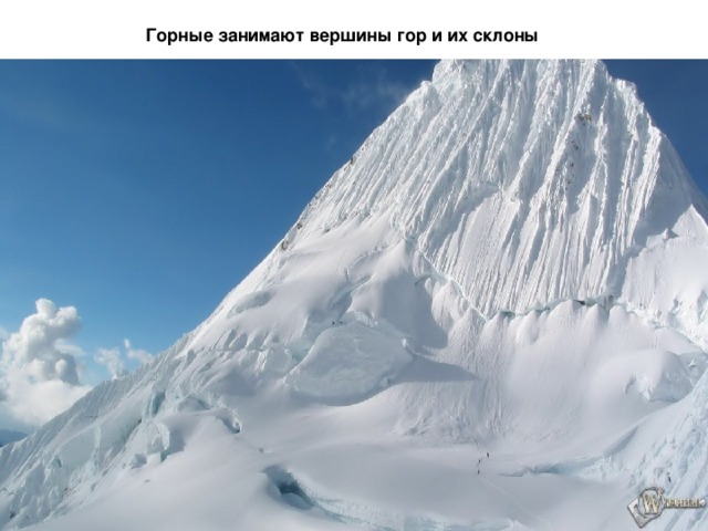 Горные занимают вершины гор и их склоны 