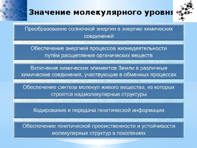 Молекулярная организация живой природы. Значение молекулярного уровня жизни. Значение молекулярного уровня. Процессы молекулярного уровня организации жизни. Основные процессы молекулярного уровня жизни.