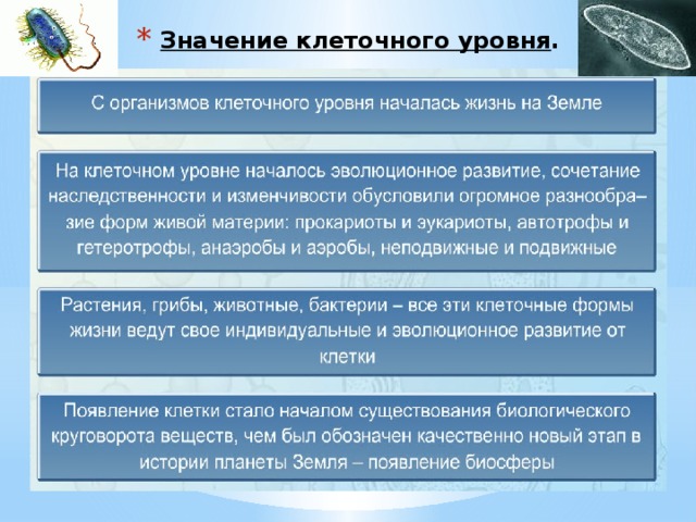 Какова роль клеток в жизни. Значение клеточного уровня. Значение клеточного уровня жизни. Значение клеточного уровня организации. Значение клеточного уровня живой материи.