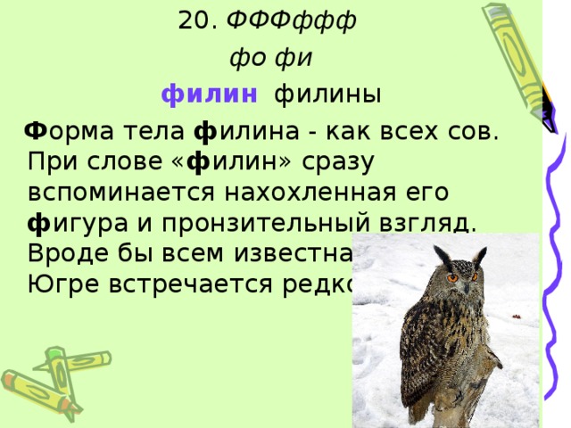 сова символ. звуки совы текстом. какие звуки издает сова. звуки совы текстом. сова надпись.