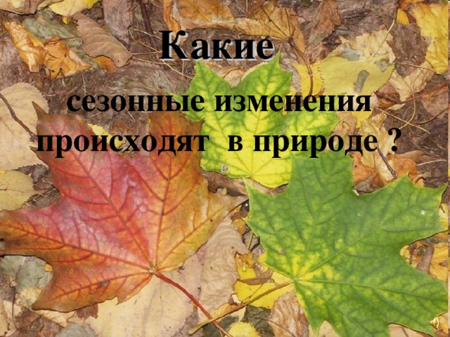 Сезонные изменения в живой природе презентация 9 класс