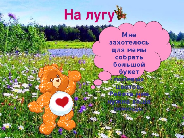 На лугу Мне захотелось для мамы собрать большой букет полевых цветов. Ребята мне нужна ваша помощь. 