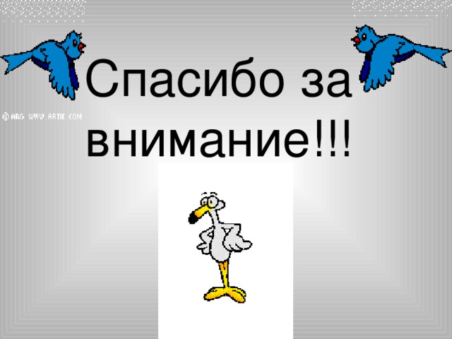 Спасибо за внимание!!! 