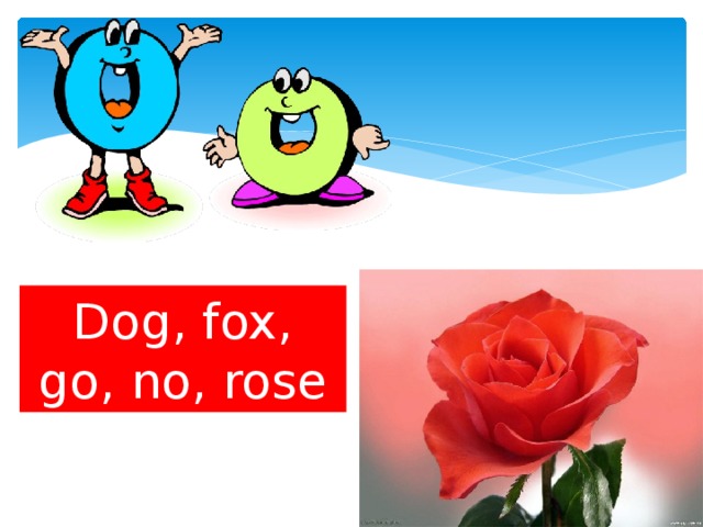 Dog, fox, go, no, rose 