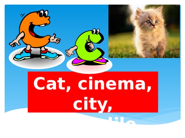 Cat, cinema, city, crocodile 