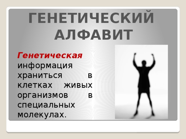 ГЕНЕТИЧЕСКИЙ АЛФАВИТ Генетическая информация храниться в клетках живых организмов в специальных молекулах. 