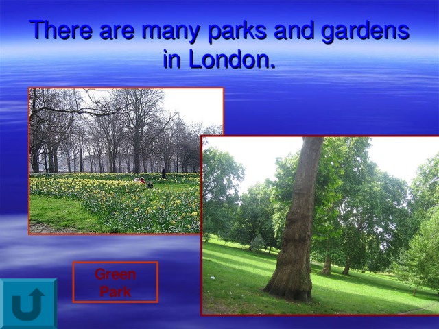 There are many parks and gardens in London. Green Park 