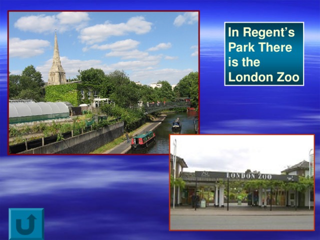 In Regent’s Park There is the London Zoo 