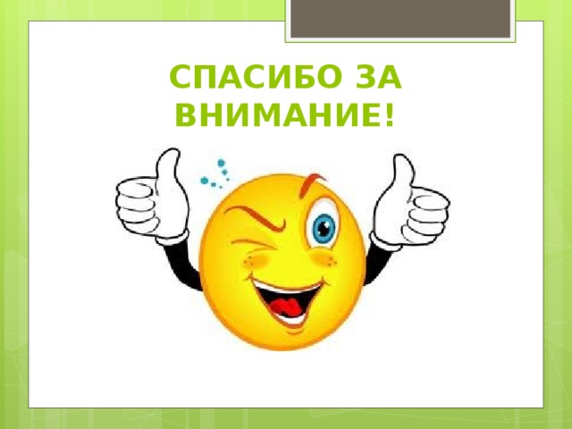 СПАСИБО ЗА ВНИМАНИЕ! 