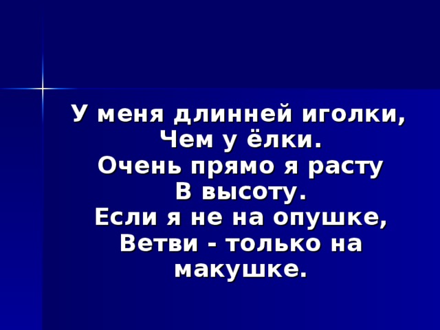  У меня длинней иголки,  Чем у ёлки.  Очень прямо я расту  В высоту.  Если я не на опушке,  Ветви - только на макушке. 