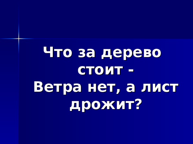 Что за дерево стоит ветра нет. Что за дерево стоит ветра нет
