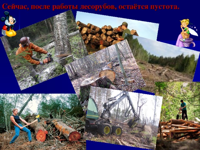 Сейчас, после работы лесорубов, остаётся пустота. 