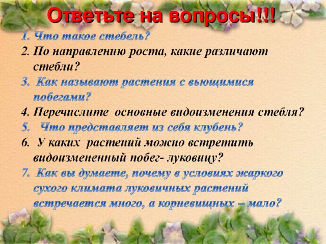Ответьте на вопросы!!! 