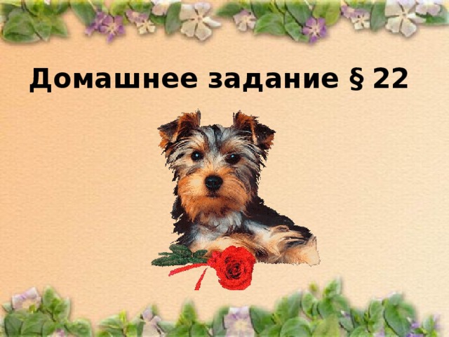 Домашнее задание § 22 