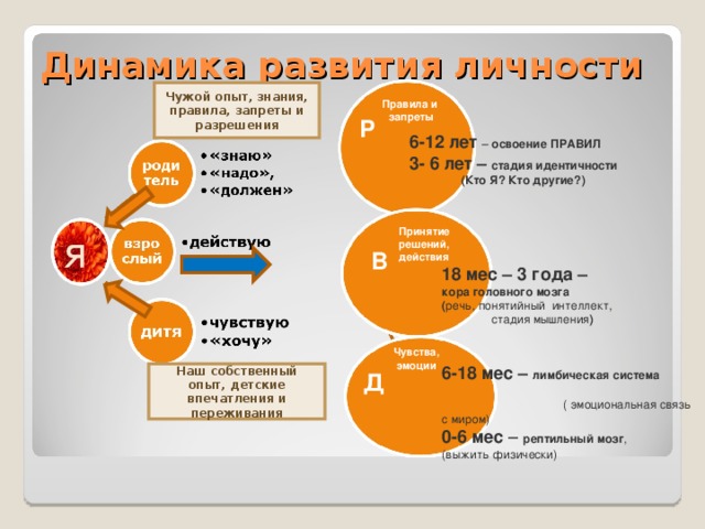 Динамика развития личности Чужой опыт, знания, правила, запреты и разрешения Правила и запреты Р 6-12 лет – освоение ПРАВИЛ 3- 6 лет – стадия идентичности (Кто Я? Кто другие?) я Принятие решений, действия В 18 мес – 3 года – кора головного мозга ( речь, понятийный интеллект,  стадия мышления ) Чувства, эмоции 6-18 мес – лимбическая система ( эмоциональная связь с миром) 0-6 мес – рептильный мозг , (выжить физически) Д Наш собственный опыт, детские впечатления и переживания  