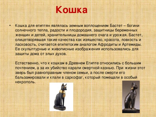 Кошка  Кошка для египтян являлась земным воплощением Бастет – богини солнечного тепла, радости и плодородия, защитницы беременных женщин и детей, хранительницы домашнего очага и урожая. Бастет, олицетворявшая такие качества как изящество, красота, ловкость и ласковость, считается египетским аналогом Афродиты и Артемиды. Ее скульптурные и живописные изображения использовались для защиты дома от злых духов.    Естественно, что к кошкам в Древнем Египте относились с большим почтением, а за их убийство карали смертной казнью. При жизни этот зверь был равноправным членом семьи, а после смерти его бальзамировали и клали в саркофаг, который помещали в особый некрополь.  