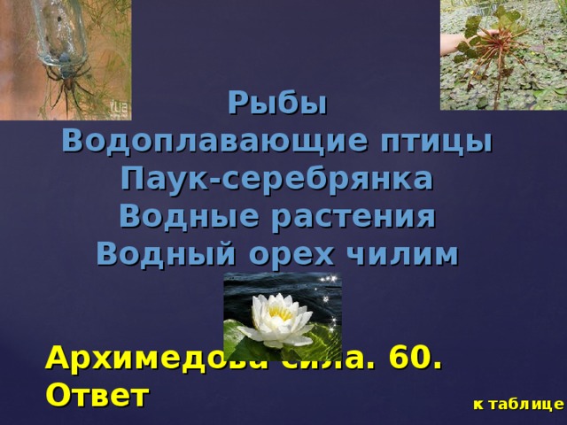 Рыбы Водоплавающие птицы Паук-серебрянка Водные растения Водный орех чилим Архимедова сила. 60. Ответ к таблице 