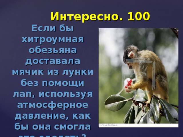 Интересно. 100 Если бы хитроумная обезьяна доставала мячик из лунки без помощи лап, используя атмосферное давление, как бы она смогла это сделать? 