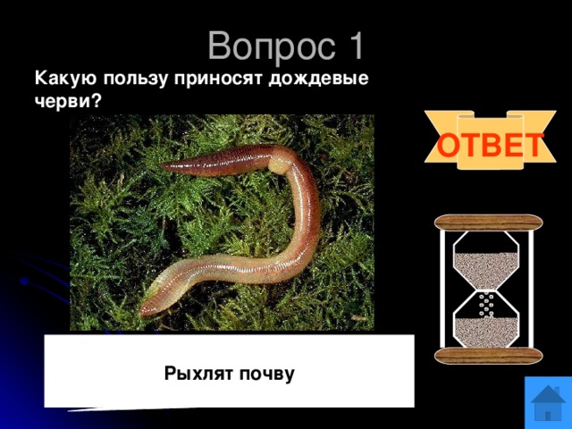 Вопрос 1 Какую пользу приносят дождевые черви?  ОТВЕТ  Рыхлят почву 