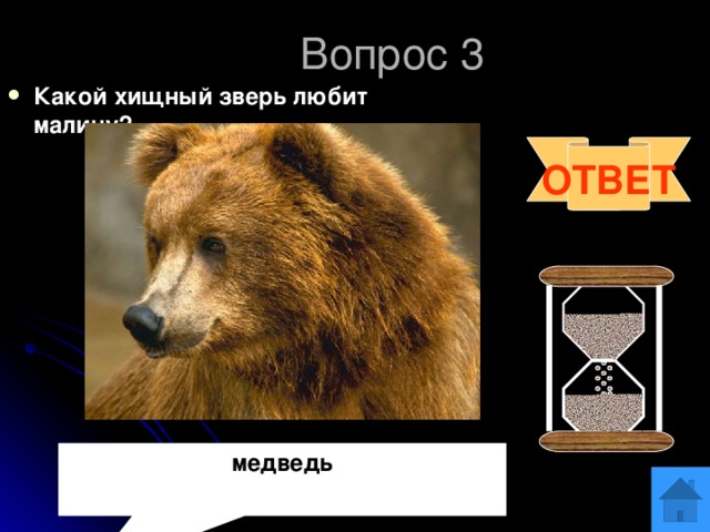 Вопрос 3 Какой хищный зверь любит малину?. ОТВЕТ медведь 