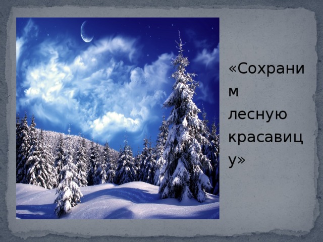 «Сохраним лесную красавицу» «Сохраним лесную красавицу» 