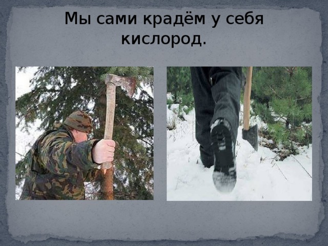 Мы сами крадём у себя кислород. 