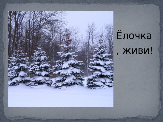 Ёлочка, живи! 