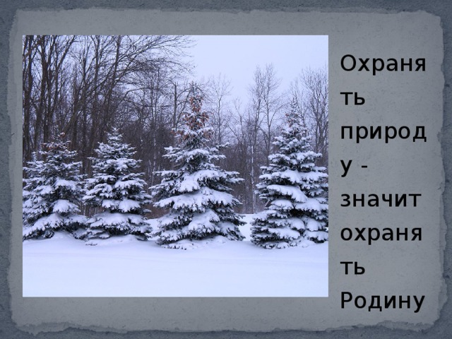 Охранять природу - значит охранять Родину 