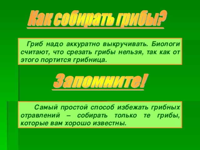 Как правильно собирать грибы выкручивать или срезать