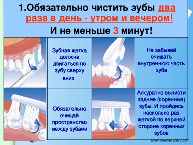Сколько чистка зубов по времени у стоматолога
