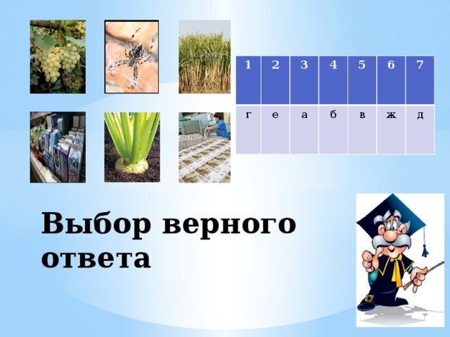 1 г 2 3 е а 4 5 б 6 в 7 ж д Выбор верного ответа 